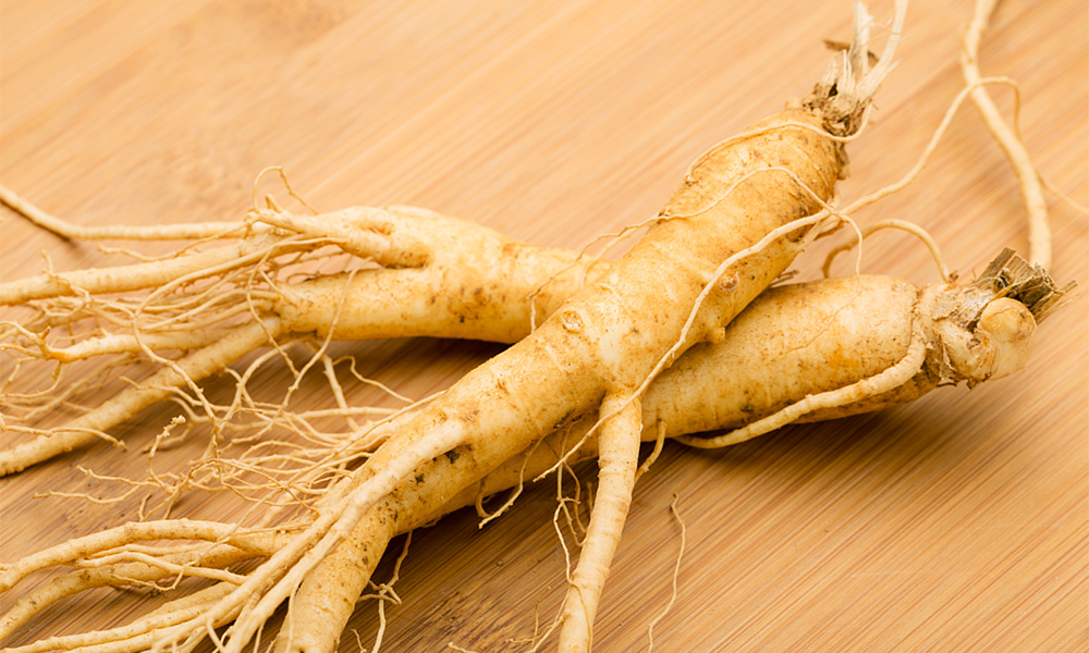 GS15-4® – World’s Most Bioavailable Ginseng Produced by Biotechnology