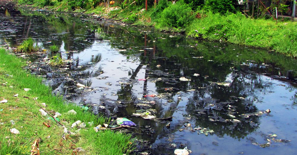 Rivers in Bayan Lepas are severely polluted