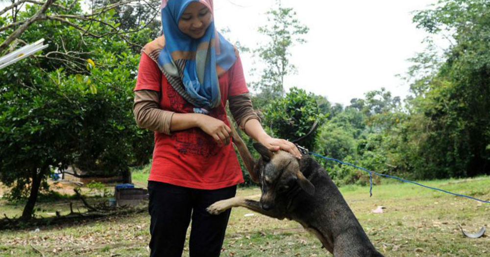 Ostracised, yet young animal lover risks all to rescue animals