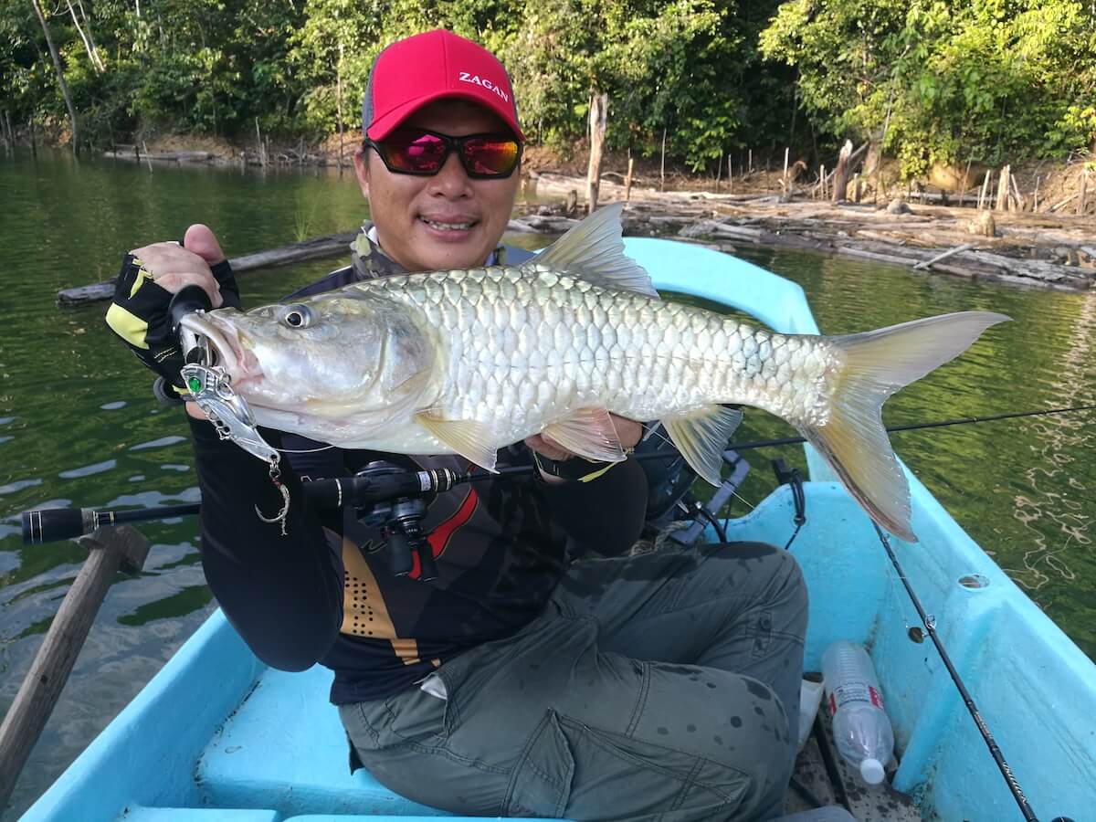 Sebarau fishing in the Murum | VOIZ asia